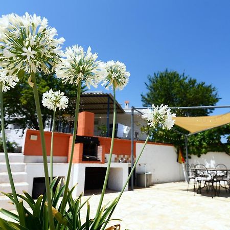 Villetta Panoramica Ostuni Exteriör bild